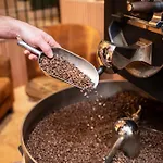 Un Grain D'folie Villié-Morgon